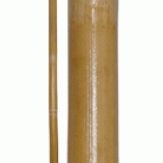 Jo Staff Bamboo: Skin - PRE ORDER